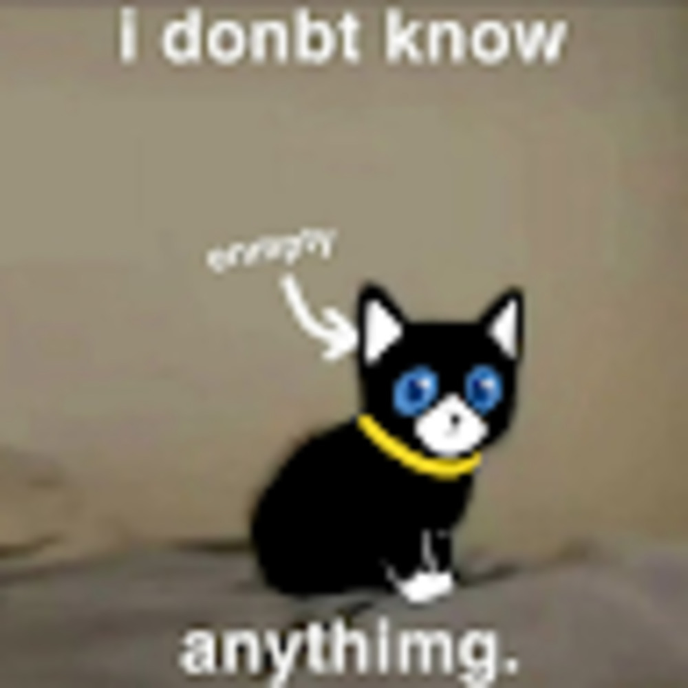 Meet your Posher, Nymphcat